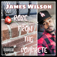 Thumbnail for the James Wilson - Rose From The Concrete link, provided by host site