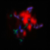 Thumbnail for the eRRdeKa - Rosengarten link, provided by host site
