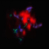 Thumbnail for the eRRdeKa - Rosengarten link, provided by host site
