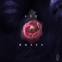 Image of Syz linking to their artist page due to link from them being at the top of the main table on this page