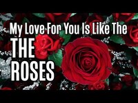 Thumbnail for the Tana Rose - Roses link, provided by host site