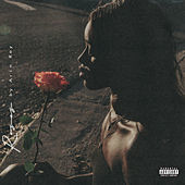 Thumbnail for the Arin Ray - Roses link, provided by host site