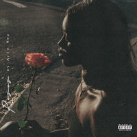 Thumbnail for the Arin Ray - Roses link, provided by host site