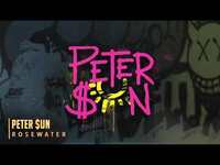 Thumbnail for the Peter $Un - Rosewater link, provided by host site