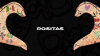 Image of Yahritza Y Su Esencia linking to their artist page due to link from them being at the top of the main table on this page