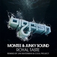Thumbnail for the Cool Project - Royal Taste - Cool Project Remix link, provided by host site