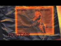 Thumbnail for the Röyksopp - Röyksopp - Eple (Sig Nu Gris Fixation) link, provided by host site