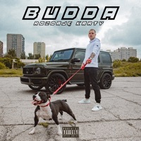 Thumbnail for the Budda - Rozdaję Karty link, provided by host site