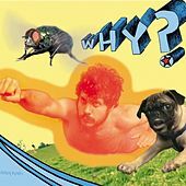 Thumbnail for the WHY? - Rubber Traits link, provided by host site