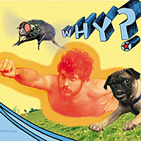 Thumbnail for the WHY? - Rubber Traits link, provided by host site