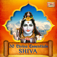 Thumbnail for the Uma Mohan - Rudrashtakam link, provided by host site