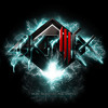 Thumbnail for the Skrillex - Ruffneck (FULL Flex) link, provided by host site