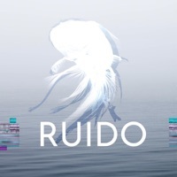 Thumbnail for the Ruido - Ruido link, provided by host site