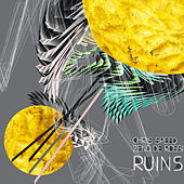 Thumbnail for the Chris Speed - Ruins link, provided by host site
