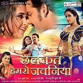 Thumbnail for the Priyanka Singh - Ruk Jala Saas Jab Lihile Jamhaee ("Bhojpuriya Raja") link, provided by host site