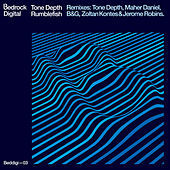 Thumbnail for the Tone Depth - Rumblefish (Remixes) link, provided by host site