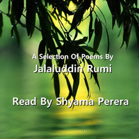 Thumbnail for the Shyama Perera - Rumi link, provided by host site