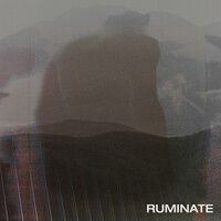 Thumbnail for the Maxwell - Ruminate link, provided by host site
