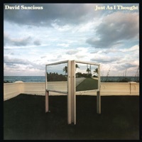 Image of David Sancious linking to their artist page due to link from them being at the top of the main table on this page