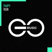 Thumbnail for the Paipy - Run link, provided by host site