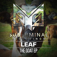 Thumbnail for the Leaf - Run the Riddim link, provided by host site