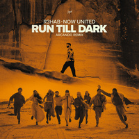 Thumbnail for the R3hab - Run Till Dark (Arcando Remix) link, provided by host site
