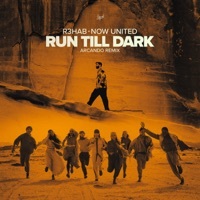 Thumbnail for the R3hab - Run Till Dark (Arcando Remix) link, provided by host site