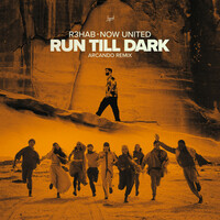 Thumbnail for the R3hab - Run Till Dark (with Now United) (Arcando Remix) link, provided by host site