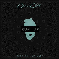 Thumbnail for the Cam - Run Up link, provided by host site