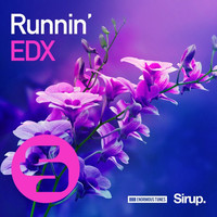 Thumbnail for the EDX - Runnin' link, provided by host site