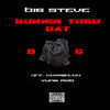 Thumbnail for the Big Steve - Runnin Thru Dat Bag link, provided by host site
