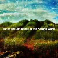Image of Nature Sounds linking to their artist page due to link from them being at the top of the main table on this page