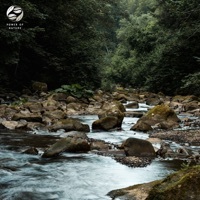Thumbnail for the Tamera - Rustling Brook In the Forest link, provided by host site
