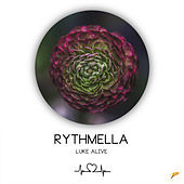 Thumbnail for the Luke Alive - Rythmella link, provided by host site