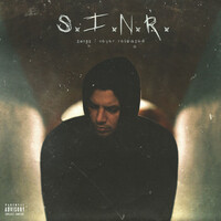 Thumbnail for the Anth - S.I.n.R link, provided by host site