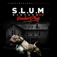 Thumbnail for the Plain James - S.L.U.M., Vol. 1: Underdog link, provided by host site