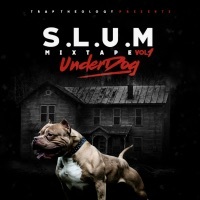 Thumbnail for the Plain James - S.L.U.M., Vol. 1: Underdog link, provided by host site