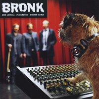 Thumbnail for the Bronk - S/t link, provided by host site