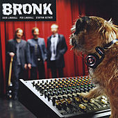 Thumbnail for the Bronk - S/T link, provided by host site