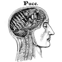 Image of Puce linking to their artist page due to link from them being at the top of the main table on this page