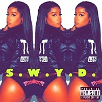 Thumbnail for the Rabbit - S.W.Y.D. (Stop What You Doing) link, provided by host site