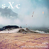 Thumbnail for the SACHI - s X c link, provided by host site