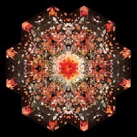 Image of Gold Panda linking to their artist page due to link from them being at the top of the main table on this page