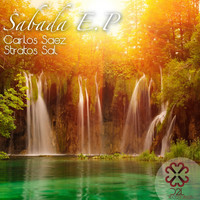 Thumbnail for the Carlos Saez - Sabada link, provided by host site