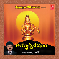 Thumbnail for the Suresh - Sabarigirini Velasina link, provided by host site