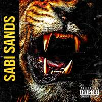 Thumbnail for the Beano - Sabi Sands link, provided by host site
