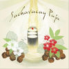 Thumbnail for the Don Diego - Sachavacay Puja link, provided by host site