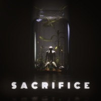 Thumbnail for the Kaskade - Sacrifice link, provided by host site