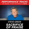 Thumbnail for the Steve Green - Sacrifice of Praise (Performance Tracks) link, provided by host site