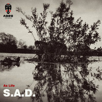Thumbnail for the David Inexacte - Sad Clown - David Inexacte Remix link, provided by host site